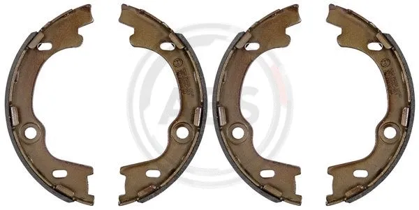 Brake Shoe Set, parking brake (9262)