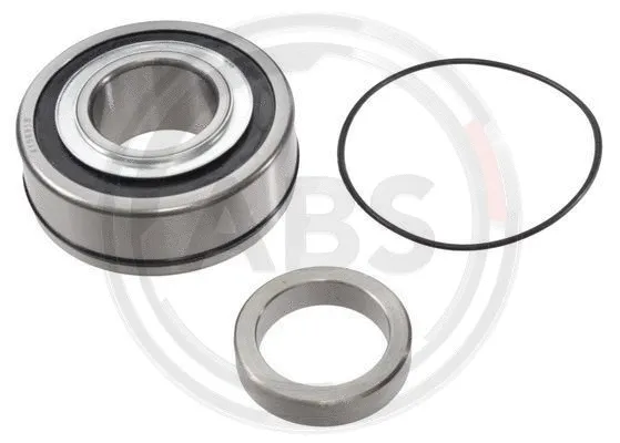 Wheel Bearing Kit (201029)