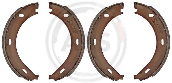 Brake Shoe Set, parking brake (9110)