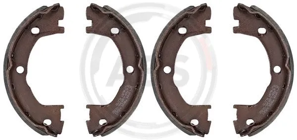 Brake Shoe Set, parking brake (9199)