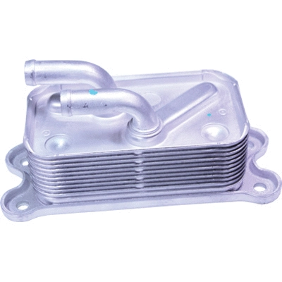 Oil Cooler, engine oil (80119)
