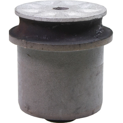 Bushing, axle beam (53084)