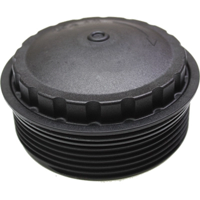 Cap, oil filter housing (80031)