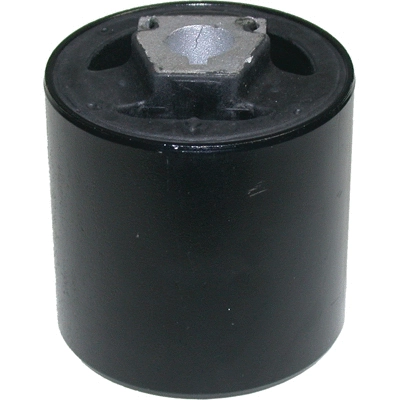 Mounting, control/trailing arm (2023)