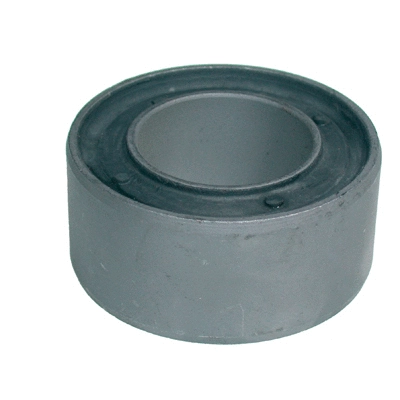Bushing, axle beam (2443)