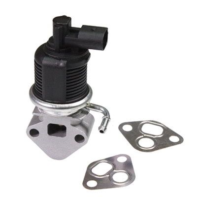 EGR Valve (90013)