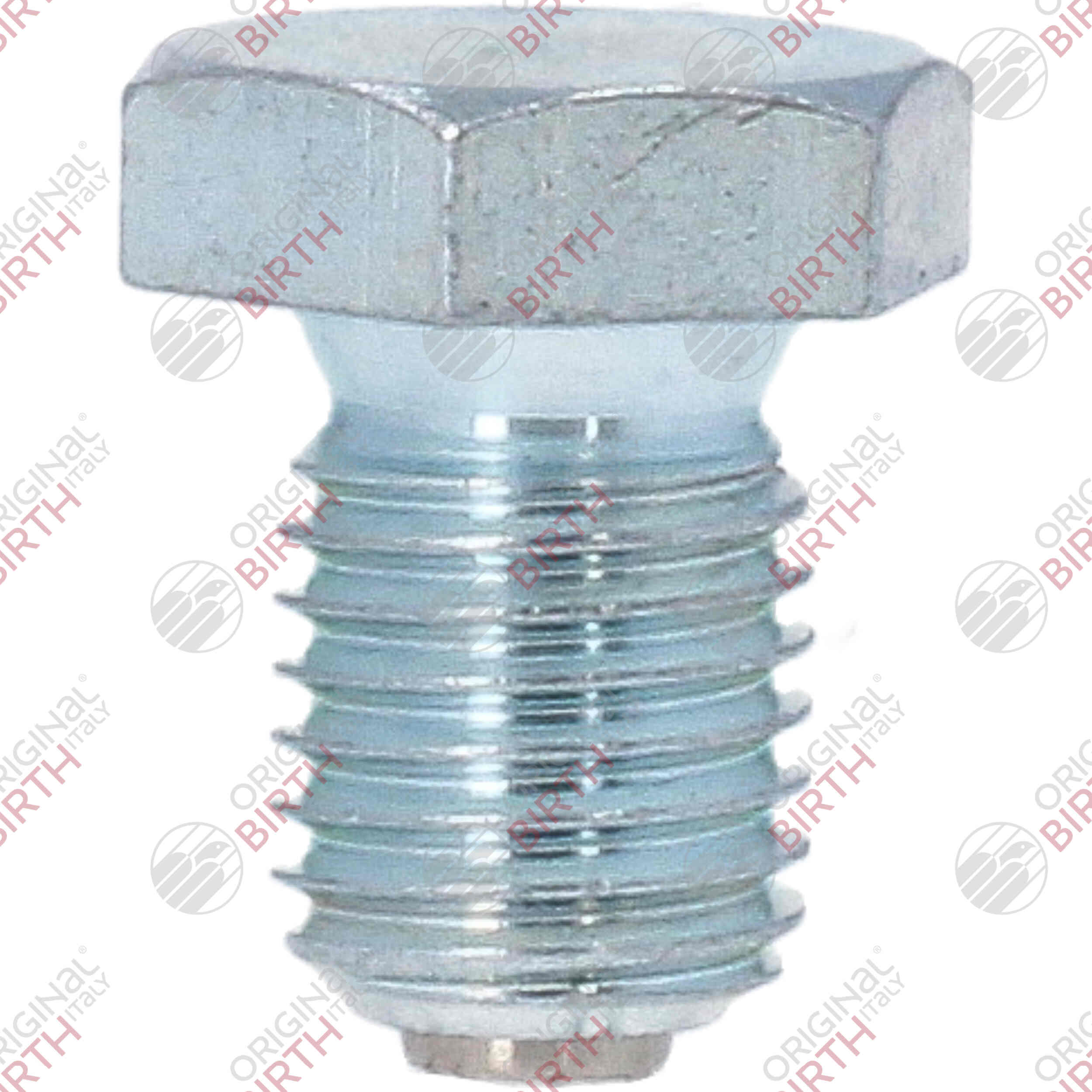 Screw Plug, oil sump (40592)