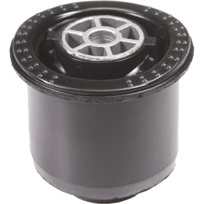 Bushing, axle beam (53880)