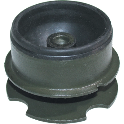 Mounting, engine (5366)