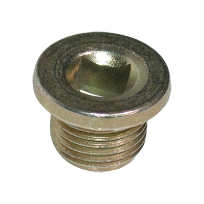 Screw Plug, oil sump (4961)