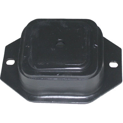 Bushing, axle beam (50694)
