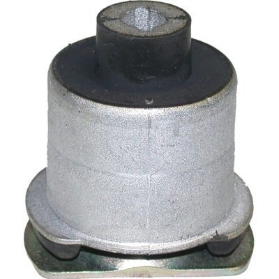 Bushing, axle beam (50936)
