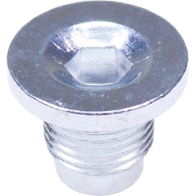 Screw Plug, oil sump (80113)