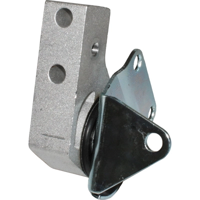 Mounting, differential (52019)