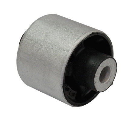 Mounting, control/trailing arm (20050)