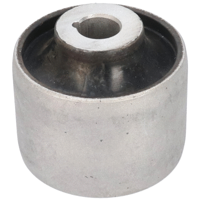 Mounting, control/trailing arm (20126)
