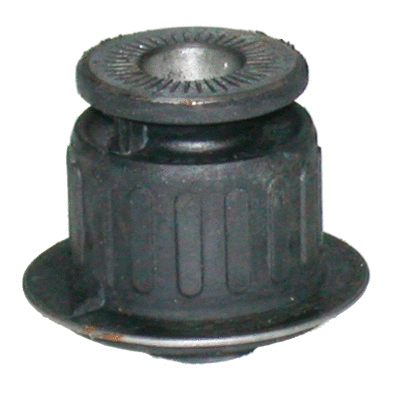 Bushing, axle beam (5629)