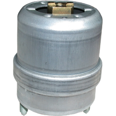 Mounting, engine (50518)