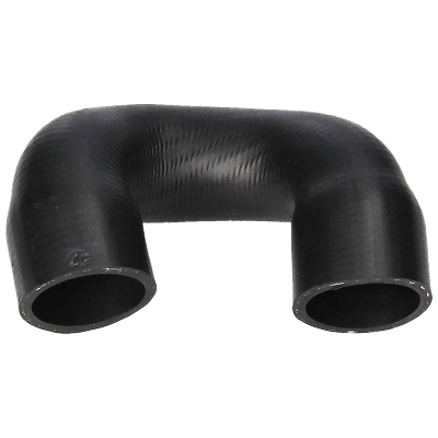 Radiator Hose (56266)