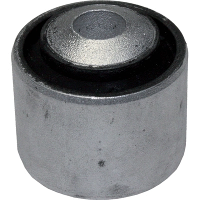 Mounting, control/trailing arm (2665)