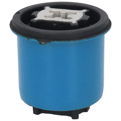 Bushing, axle beam (53901)