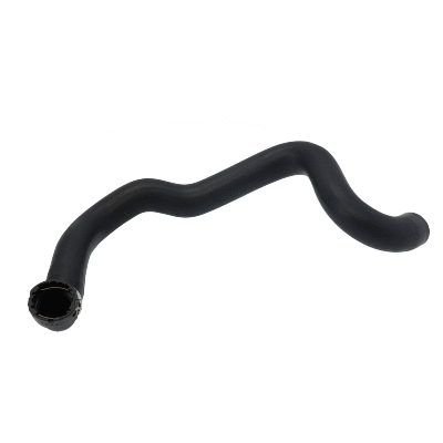 Radiator Hose (54754)