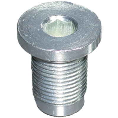 Screw Plug, oil sump (4754)