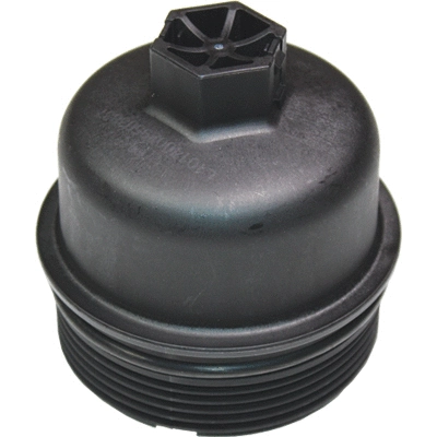 Cap, oil filter housing (80032)