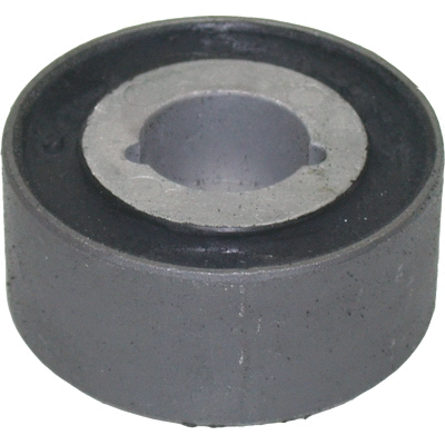 Bushing, axle beam (50241)