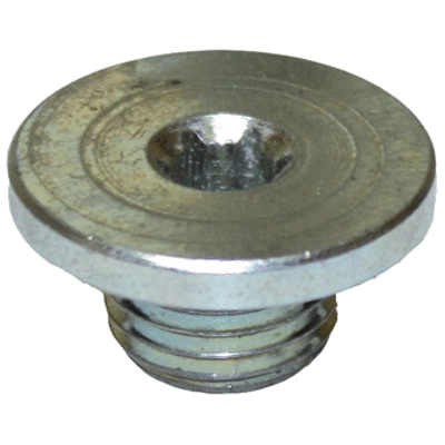 Screw Plug, oil sump (4134)