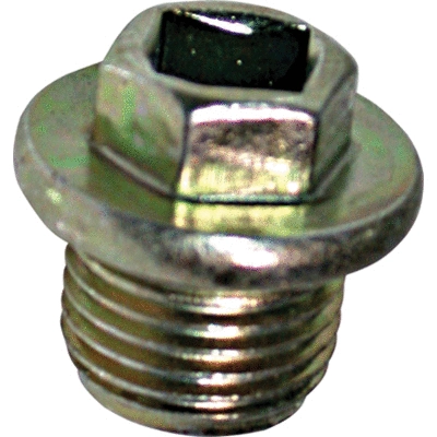 Screw Plug, oil sump (4363)