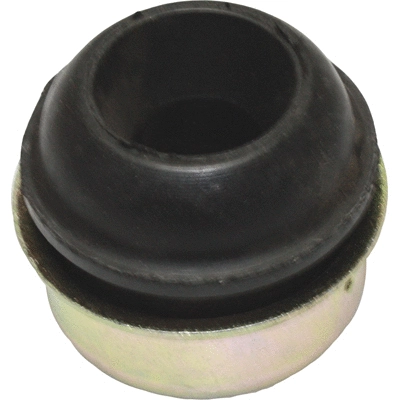 Bushing, axle beam (51598)