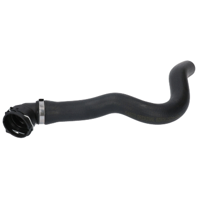 Radiator Hose (54820)