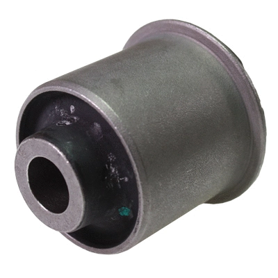 Mounting, control/trailing arm (20037)