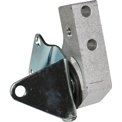 Mounting, differential (52020)
