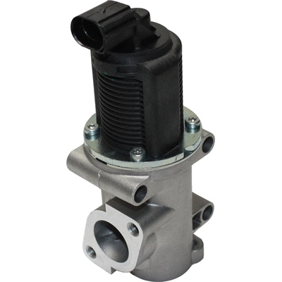 EGR Valve (8819)
