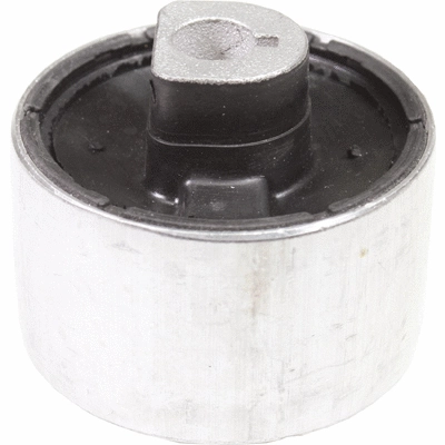 Mounting, control/trailing arm (20024)