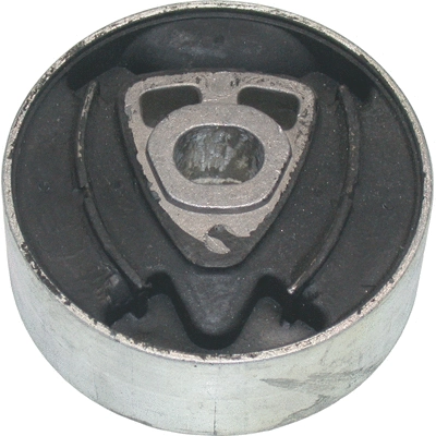Mounting, differential (50229)