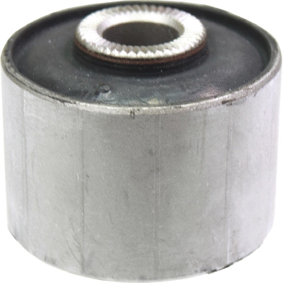 Mounting, control/trailing arm (2859)