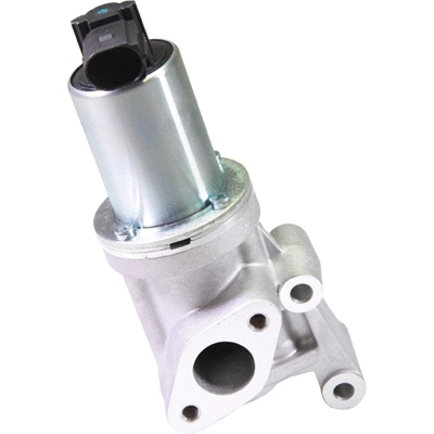 EGR Valve (90096)