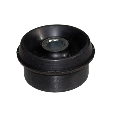 Bushing, axle beam (2364)