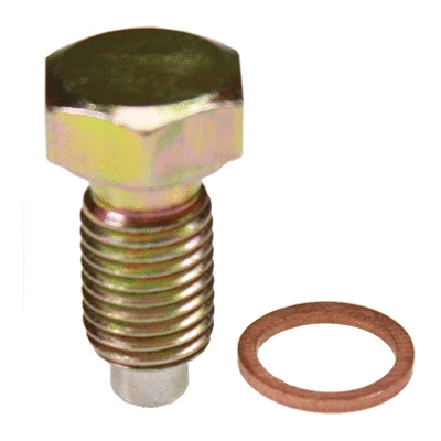 Screw Plug, oil sump (40510)