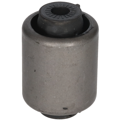 Mounting, control/trailing arm (20138)