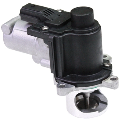 EGR Valve (90045)