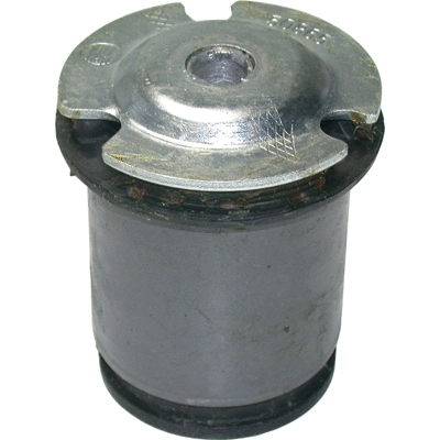Bushing, axle beam (50865)