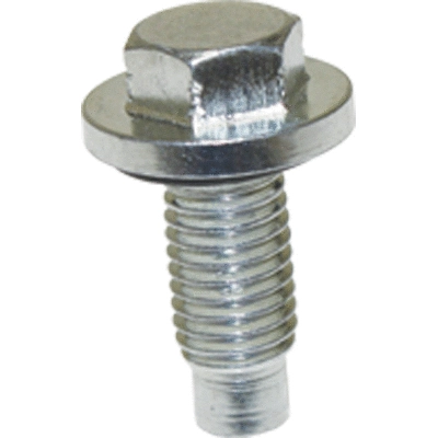 Screw Plug, oil sump (40041)