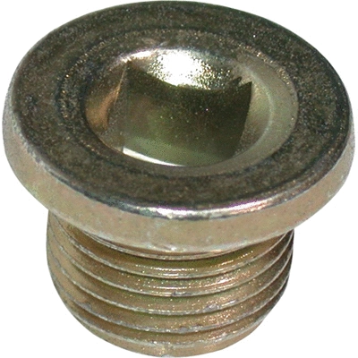 Screw Plug, oil sump (4361)