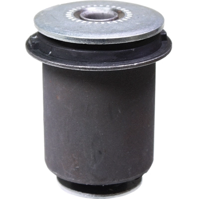 Mounting, control/trailing arm (2919)