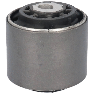 Mounting, control/trailing arm (20109)