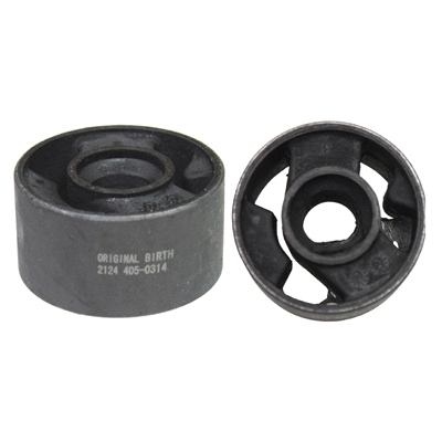 Mounting, control/trailing arm (2124)